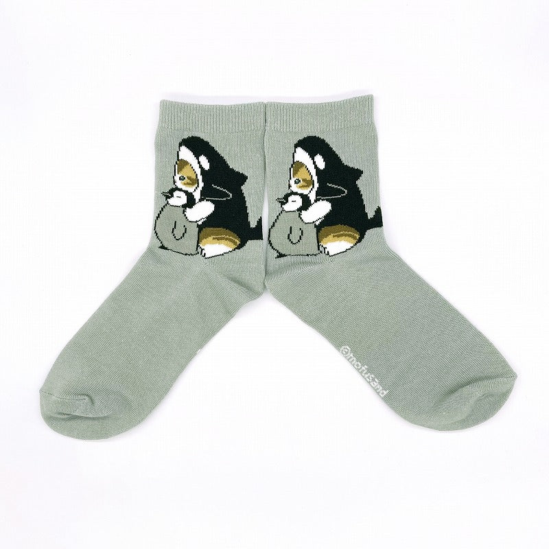 mofusand 低船員襪（裁員企鵝） mofusand ロークルーソックス(シャチペンギン)