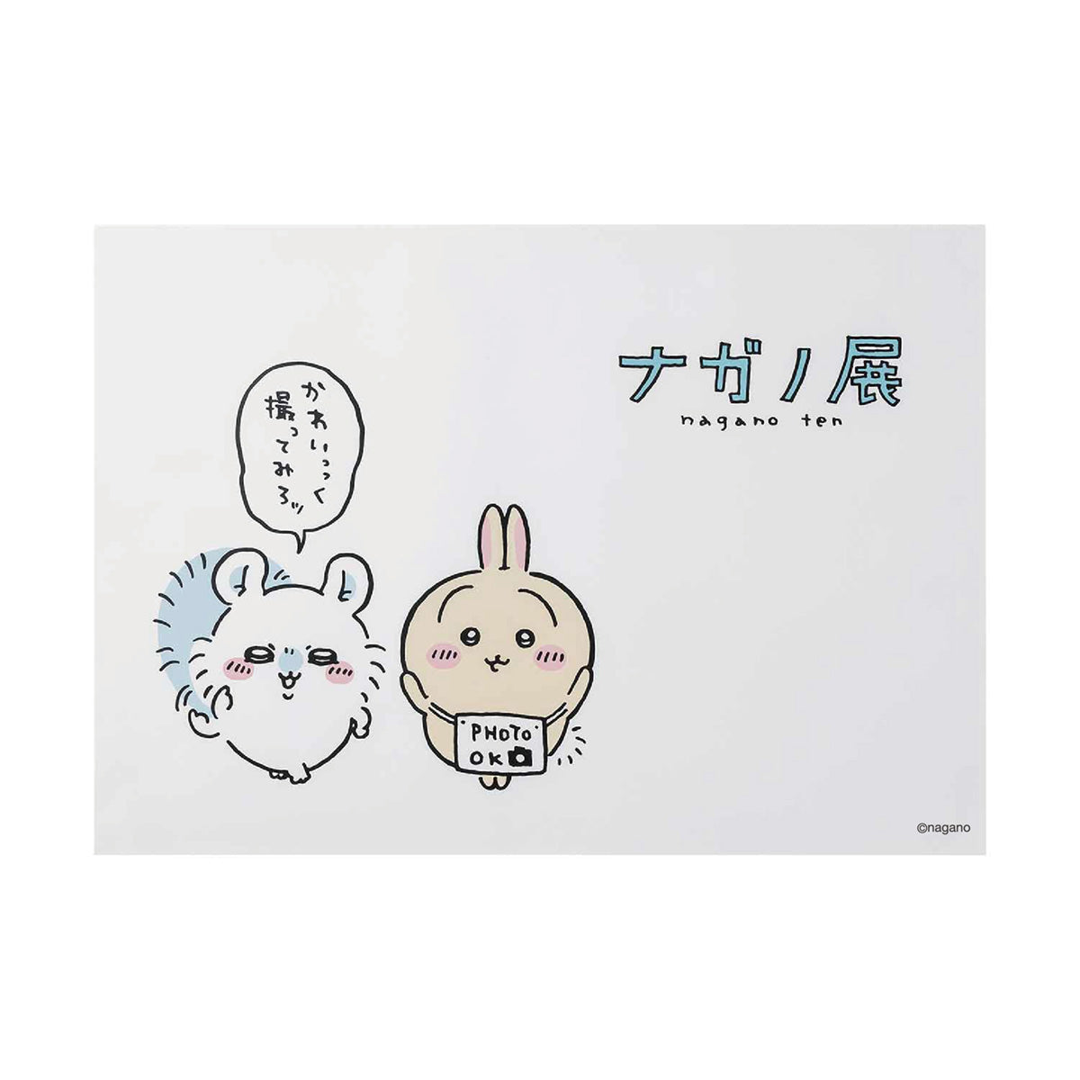 長野朋友A2海報（照片還可以） ナガノフレンズ A2ポスター（PHOTO OK）